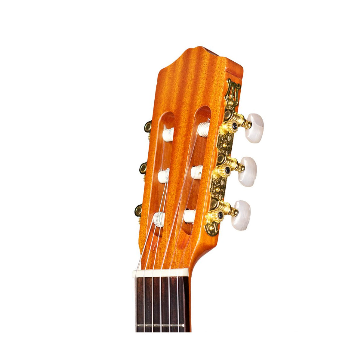 Cordoba Protege C1 Nylon String Acoustic Guitar With Gig Bag - Spruce