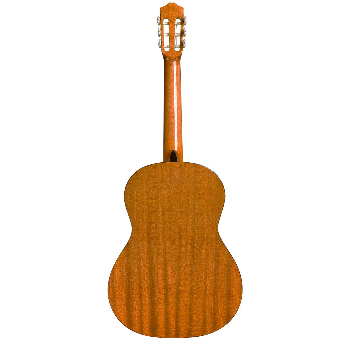 Cordoba Protege C1 Nylon String Acoustic Guitar With Gig Bag - Spruce