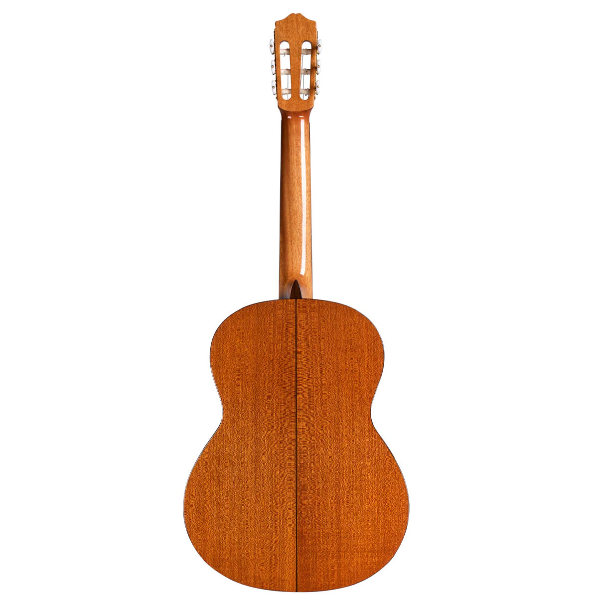 Cordoba C5 SP Nylon-String Acoustic Guitar - Gloss