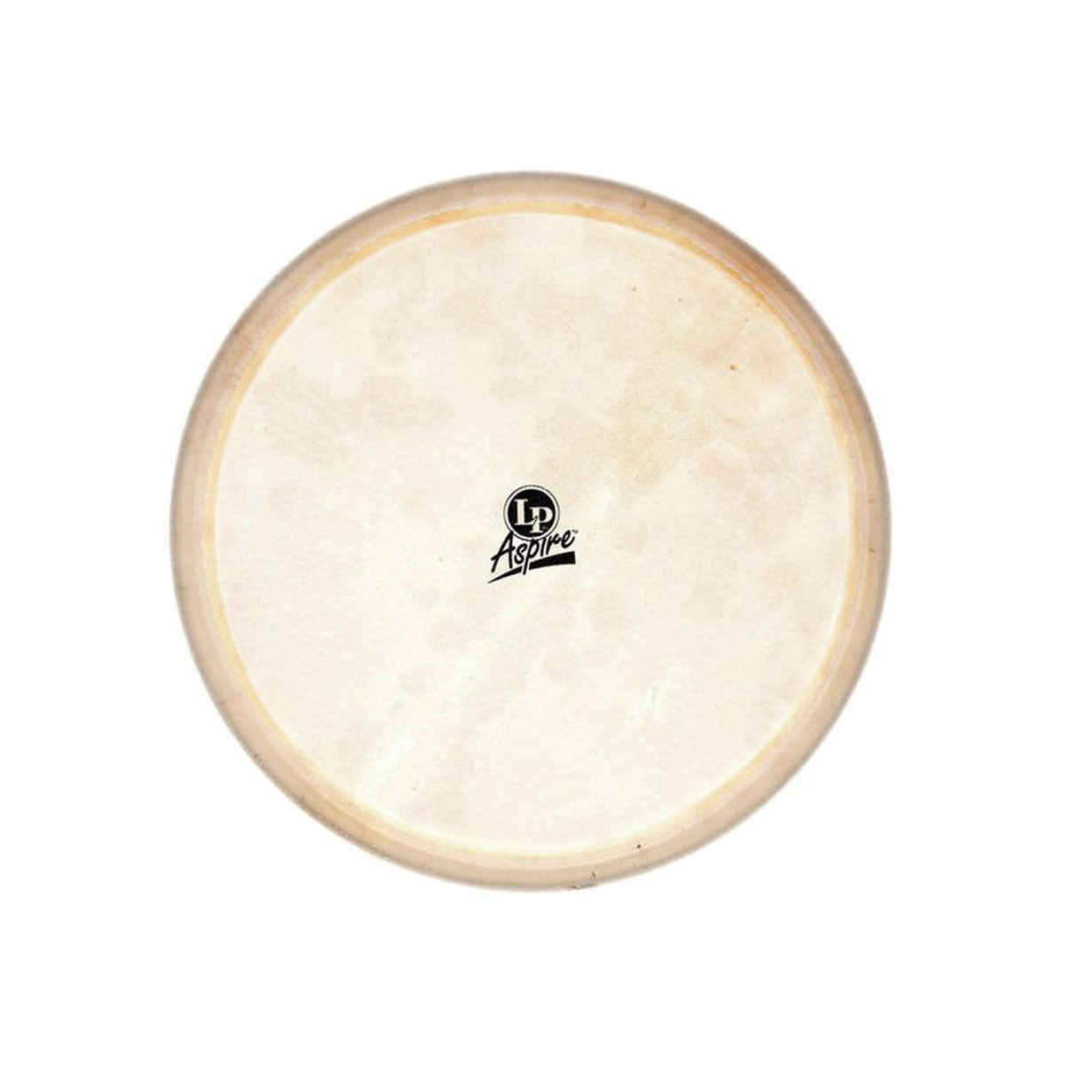 Latin Percussion 12'' Djembe Head