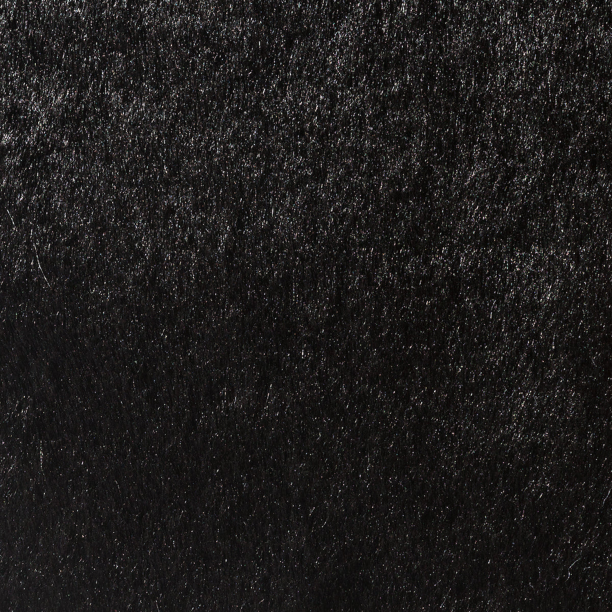 Rycote Overcovers Adv Black (Pack)25x Stickies and 5x OverCovers ADV