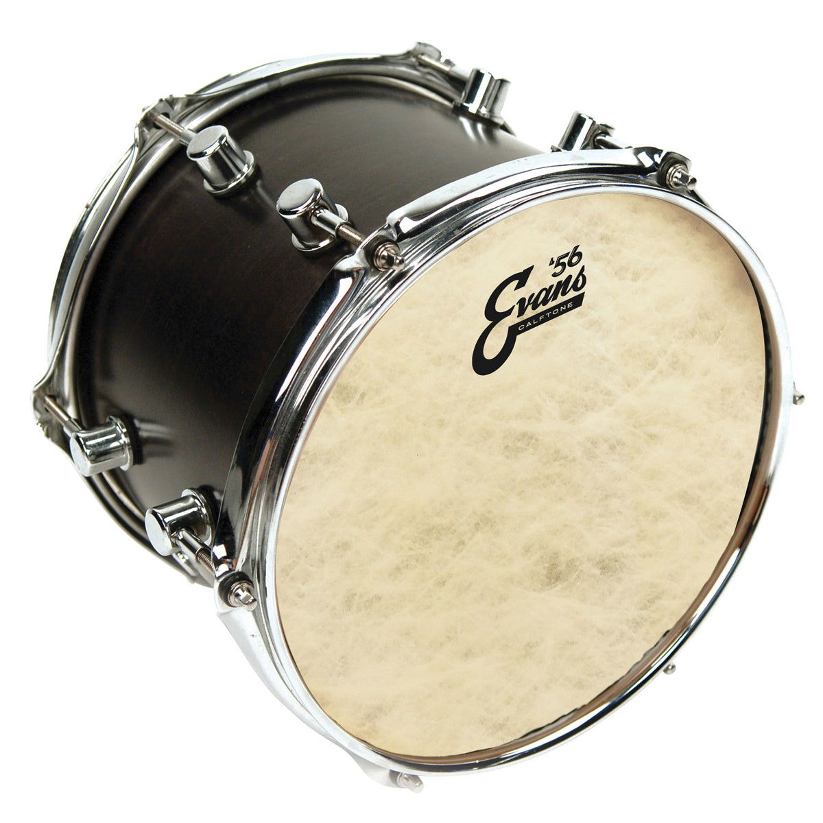 Evans TT18C7 Calftone Coated 18" Drumhead