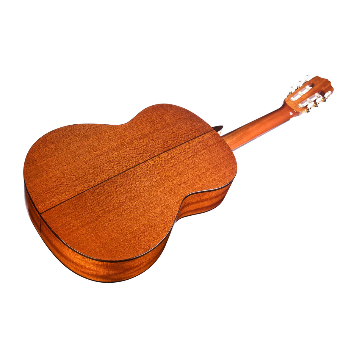 Cordoba C5 SP Nylon-String Acoustic Guitar - Gloss