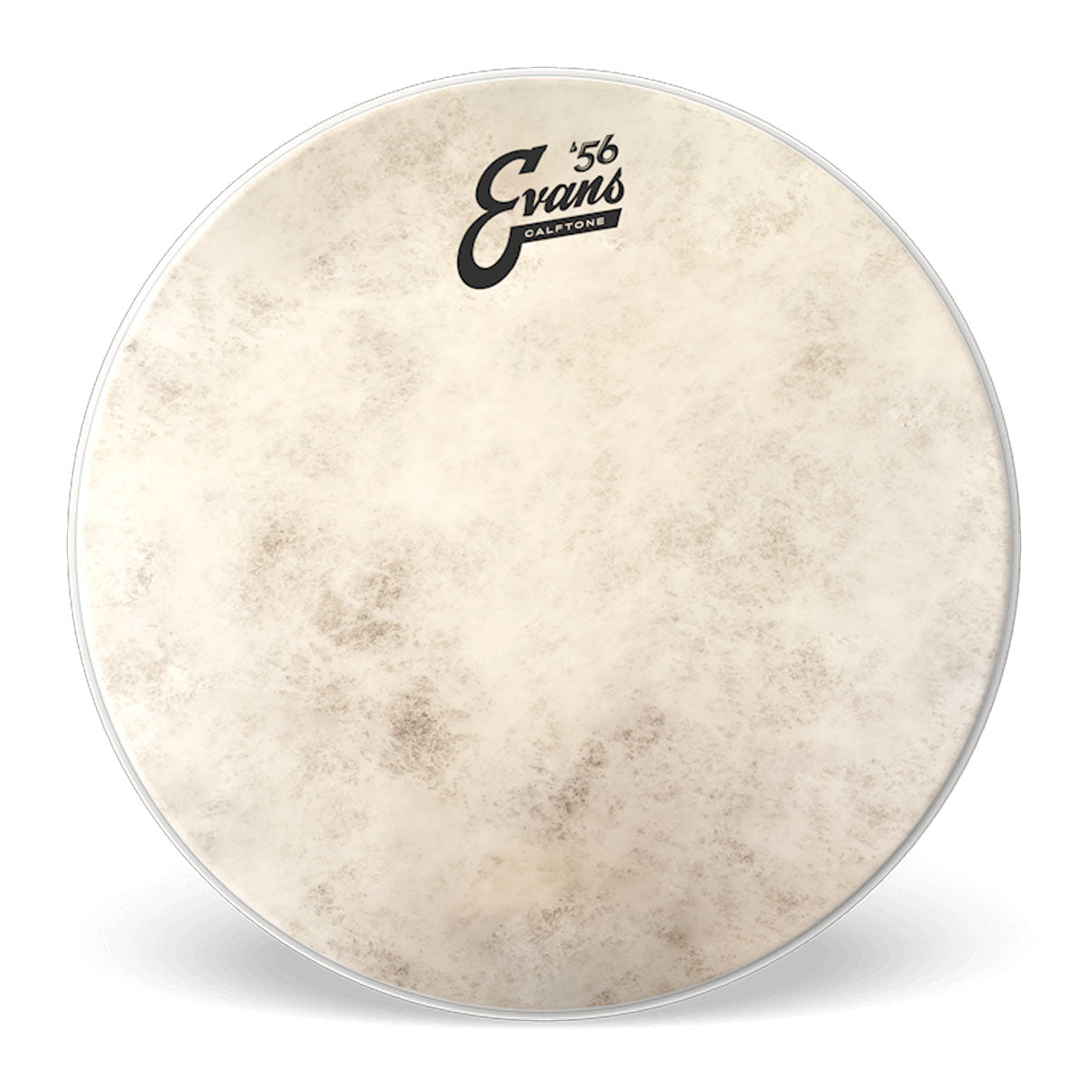 Evans TT18C7 Calftone Coated 18" Batter Drumhead