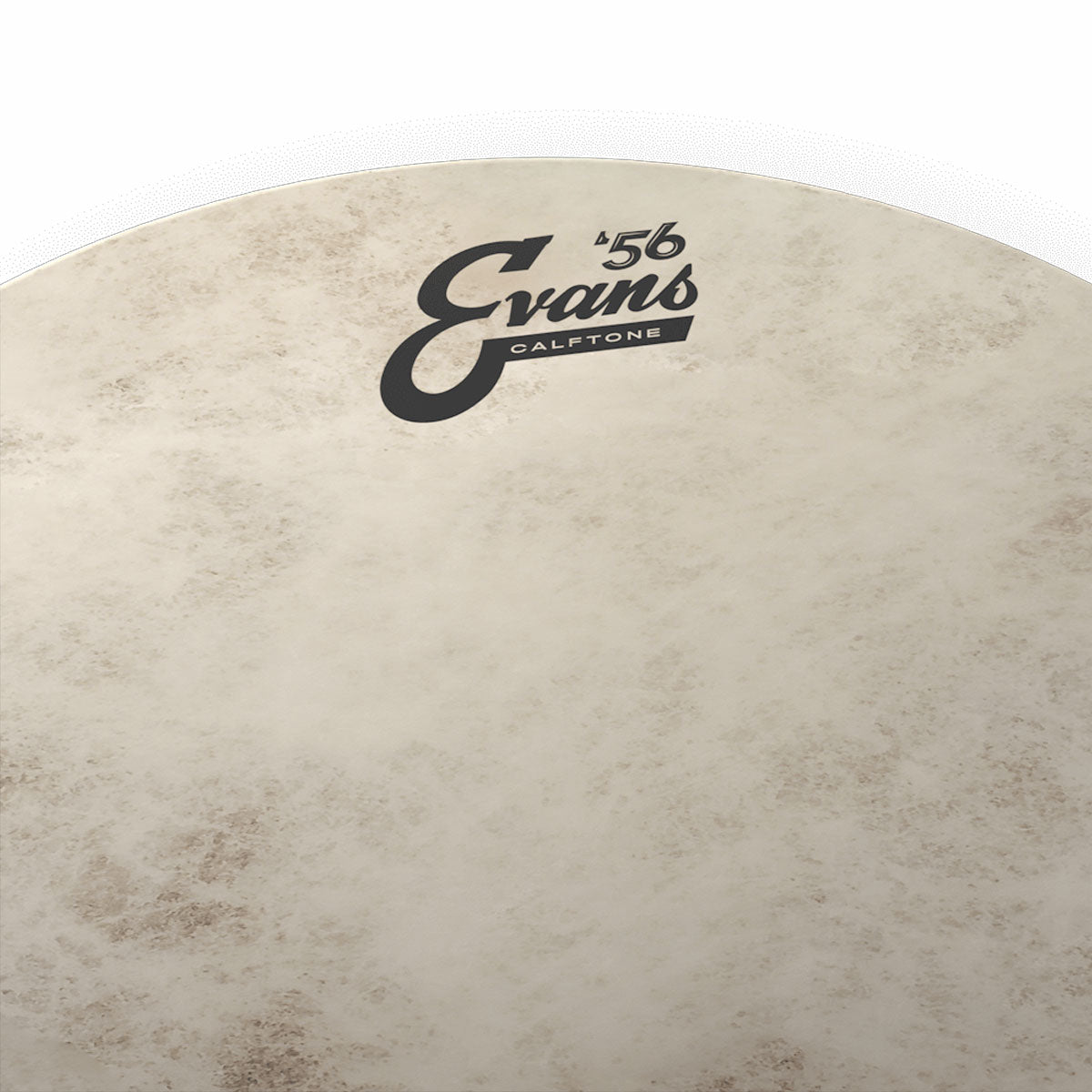 Evans TT18C7 Calftone Coated 18" Batter Drumhead