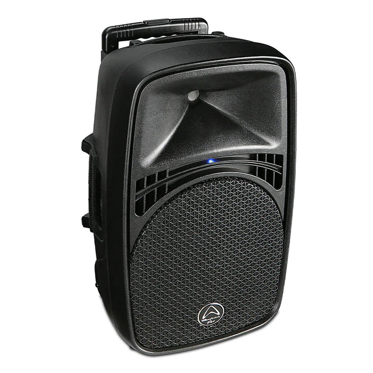 Portable PA System