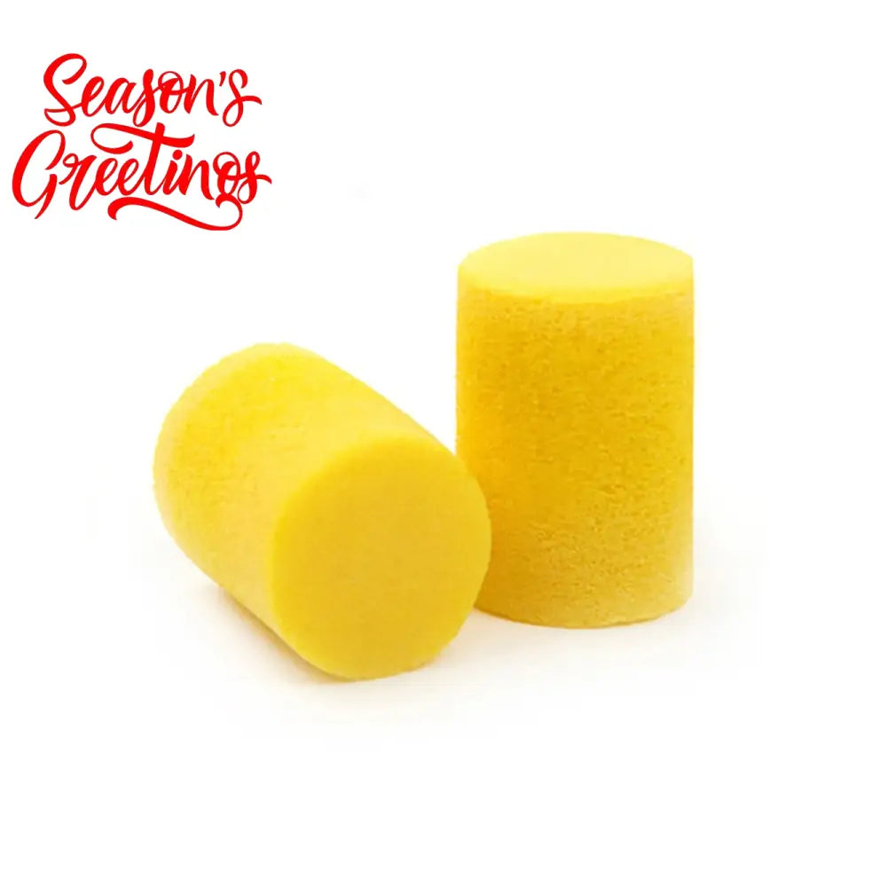 Planetwaves PWEP1 Foam Earplugs - Pair